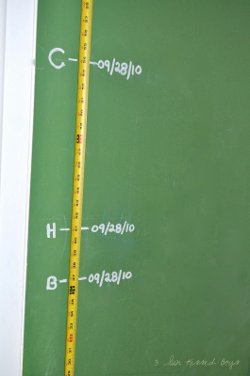 Tape Measure Growth Chart | AllFreeHolidayCrafts.com