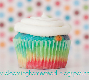 Rainbow Cupcakes Rainbow Cupcakes