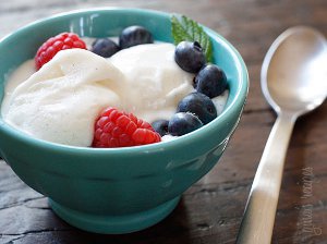 Low-Fat Vanilla Frozen Yogurt Low-Fat Vanilla Frozen Yogurt