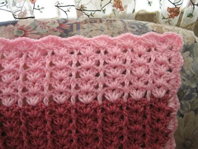 Lacy Shades of Pink Shells Lacy Shades of Pink Shells
