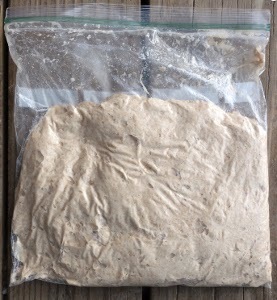 Homemade Bread in a Bag