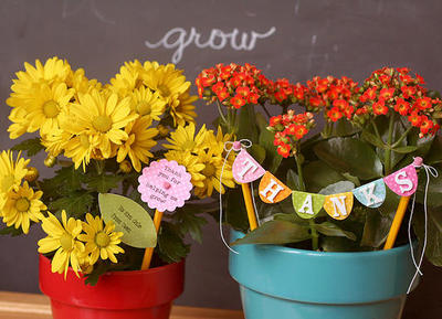 Teacher Flower Gifts Teacher Flower Gifts