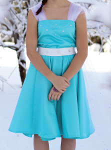 The Elsa Dress The Elsa Dress