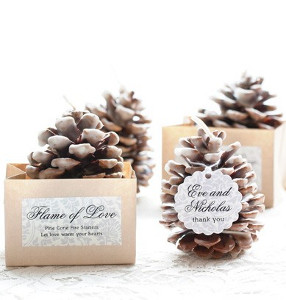 Pretty Pinecone Homemade Fire Starters Pretty Pinecone Homemade Fire Starters
