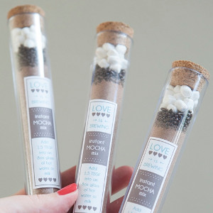 Test Tube Mocha Recipe Test Tube Mocha Recipe