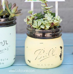 Simply Rustic Mason Jar Pots Simply Rustic Mason Jar Pots