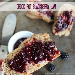 Slow Cooker Blackberry Jam