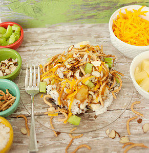 Easy Hawaiian Haystacks Easy Hawaiian Haystacks