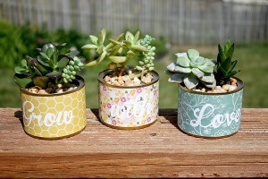 Mini Succulent Planters Mini Succulent Planters
