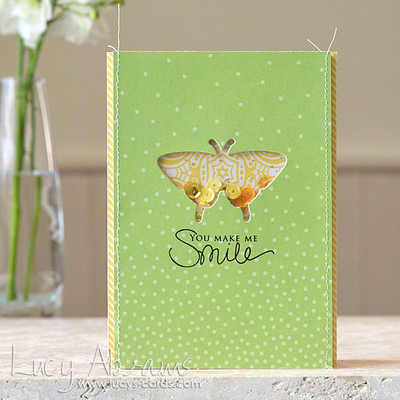 Butterfly Shaker Card Butterfly Shaker Card
