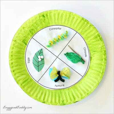 Butterfly Life Cycle Educational Art Craft Butterfly Life Cycle Educational Art Craft