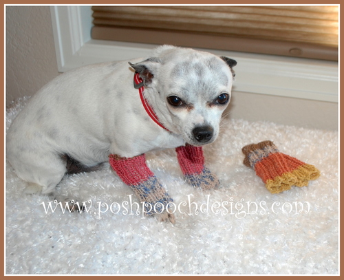 Leg Warmers For Dogs_1