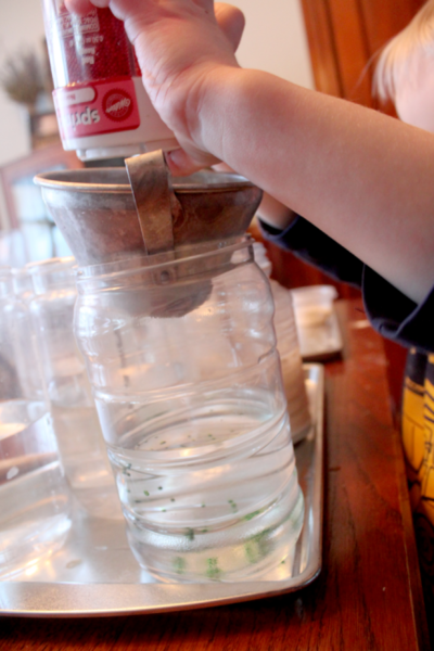 What Dissolves in Water Experiment for Kids What Dissolves in Water Experiment for Kids