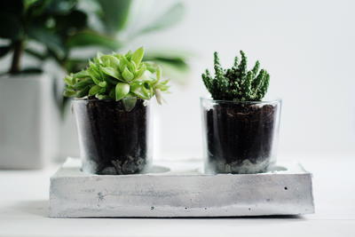 DIY Chrome and Concrete Garden Planter DIY Chrome and Concrete Garden Planter