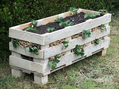 DIY Strawberry Planter DIY Strawberry Planter