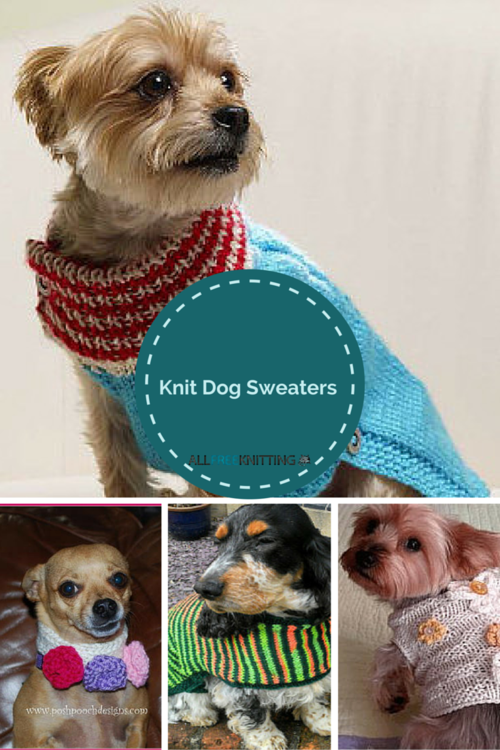 Knitting for Pets: 22 Knit Dog Sweaters AllFreeKnitting.com