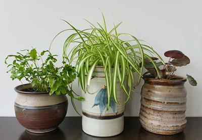 Upcycled Ceramic Plant Pots Upcycled Ceramic Plant Pots