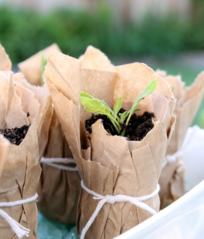 Recycled Paper Seedling Planter Recycled Paper Seedling Planter