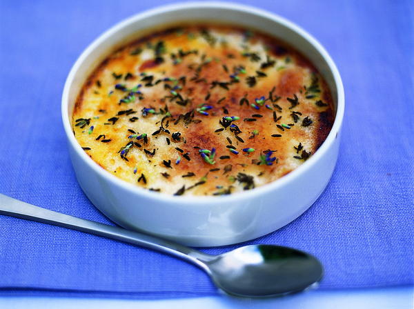 Lavender Creme Brulee Lavender Creme Brulee