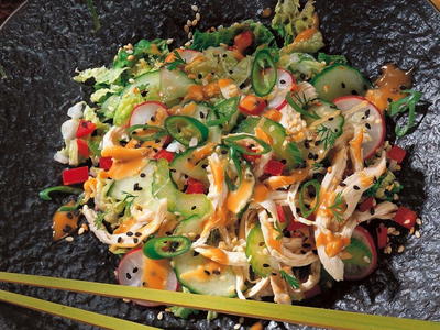 Chicken and Vegetable Salad with Chinese Sesame Sauce Chicken and Vegetable Salad with Chinese Sesame Sauce