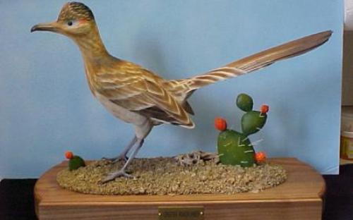 Great Roadrunner Great Roadrunner