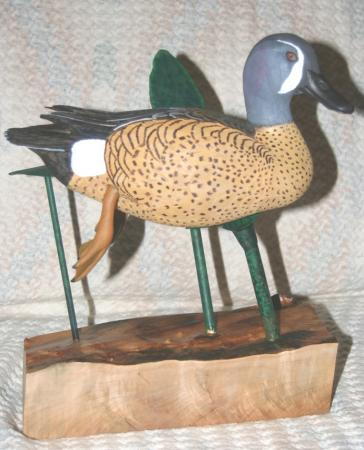 Blue Winged Teal Blue Winged Teal