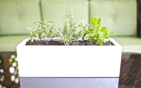 DIY Herb Planter DIY Herb Planter
