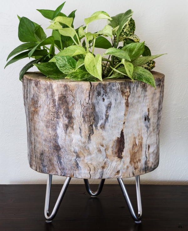 Tree Stump Idea DIY Planter Tree Stump Idea DIY Planter