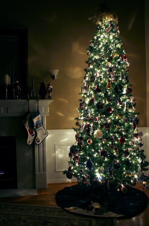 How to Keep a Christmas Tree Alive During the Holiday Season How to Keep a Christmas Tree Alive During the Holiday Season