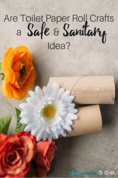 Are Toilet Paper Roll Crafts a Safe and Sanitary Idea Are Toilet Paper Roll Crafts a Safe and Sanitary Idea
