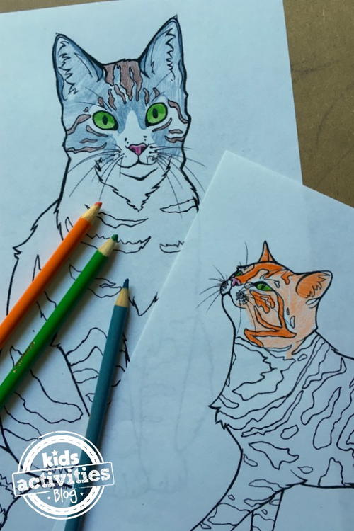 Cute Cat Coloring Page | FaveCrafts.com