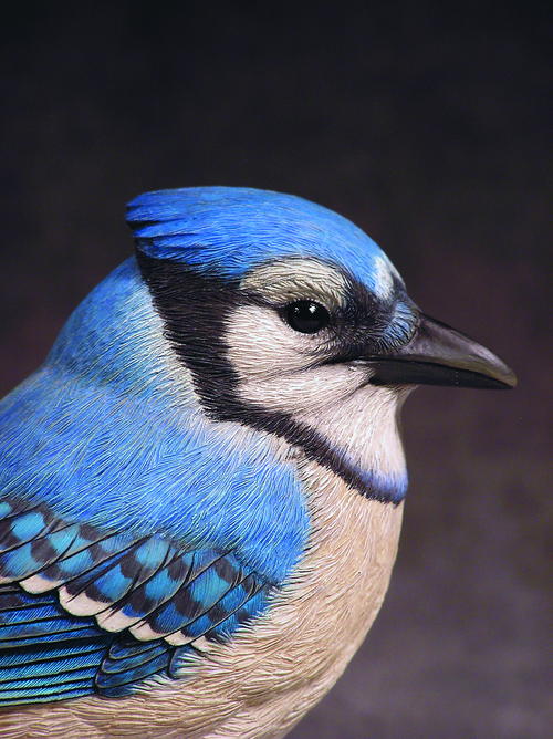 Photography by Jerry Simchuk