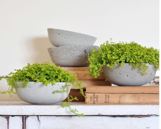 Simple DIY Concrete Planters Tutorial Simple DIY Concrete Planters Tutorial
