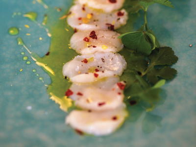 Carpaccio of Scallops with Chili Lemon and Wood Sorrel Carpaccio of Scallops with Chili Lemon and Wood Sorrel
