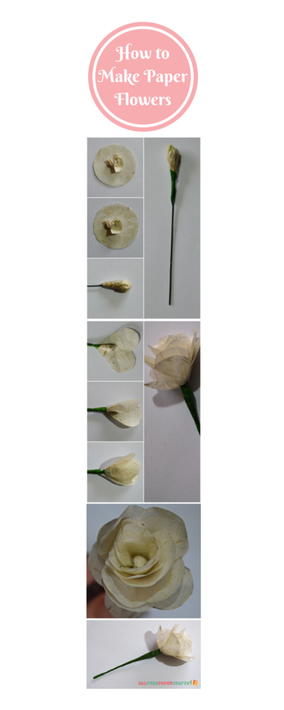 How to Make Paper Flowers How to Make Paper Flowers