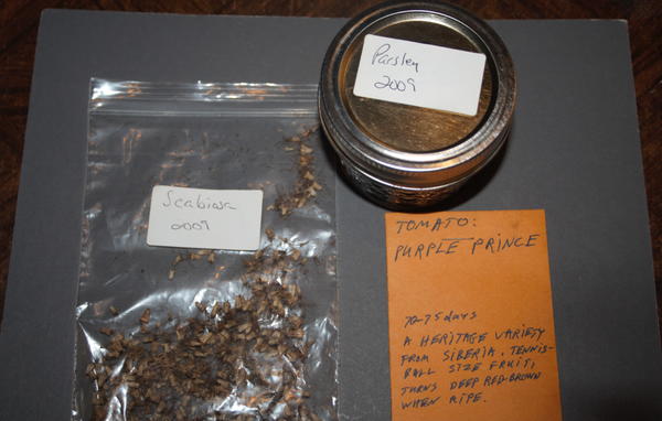 There are many ways to store seeds – plastic bags, paper bags and even glass jars. Be sure to label what the seeds are. How and Why to Save Seeds