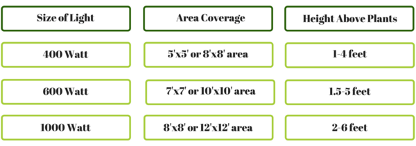 Garden Chart Garden Chart