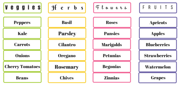 Plant Options Plant Options