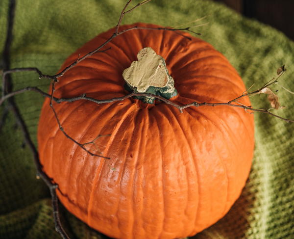 How to Pick a Pumpkin How to Pick a Pumpkin