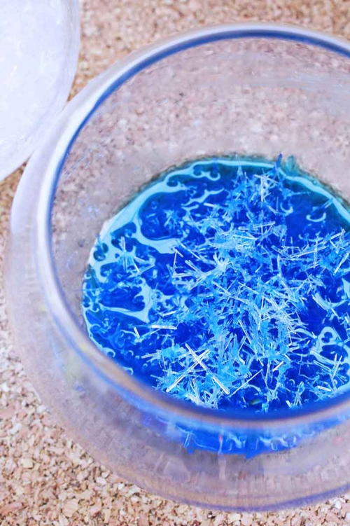 Magic Salt Crystal Experiment | AllFreeKidsCrafts.com