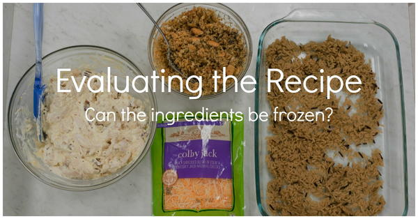 Evaluating the Recipe: Can the ingredients be frozen? Evaluating the Recipe: Can the ingredients be frozen?