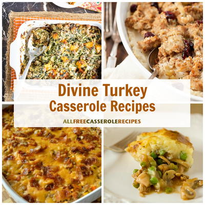 14 Divine Turkey Casserole Recipes 14 Divine Turkey Casserole Recipes