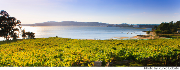 Rias Baixas landscape Rias Baixas landscape