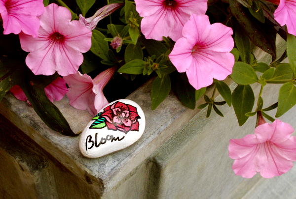 How to Color Rocks How to Color Rocks