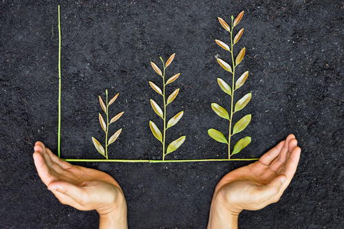 7 Tips for Growing Your Etsy Shop 7 Tips for Growing Your Etsy Shop
