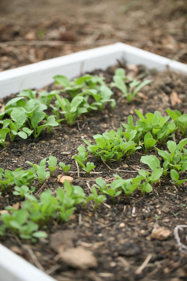 Benefits of Composting Benefits of Composting
