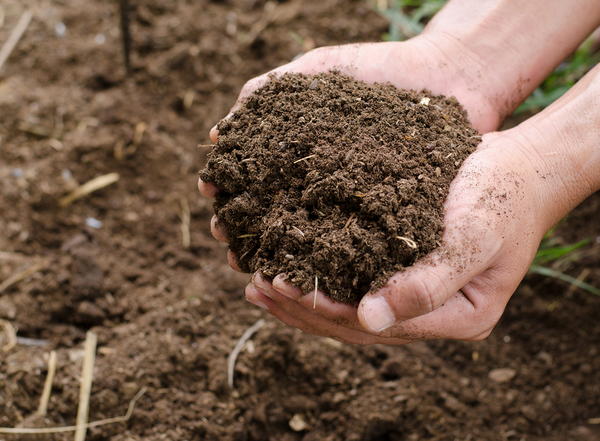 What is Composting What is Composting