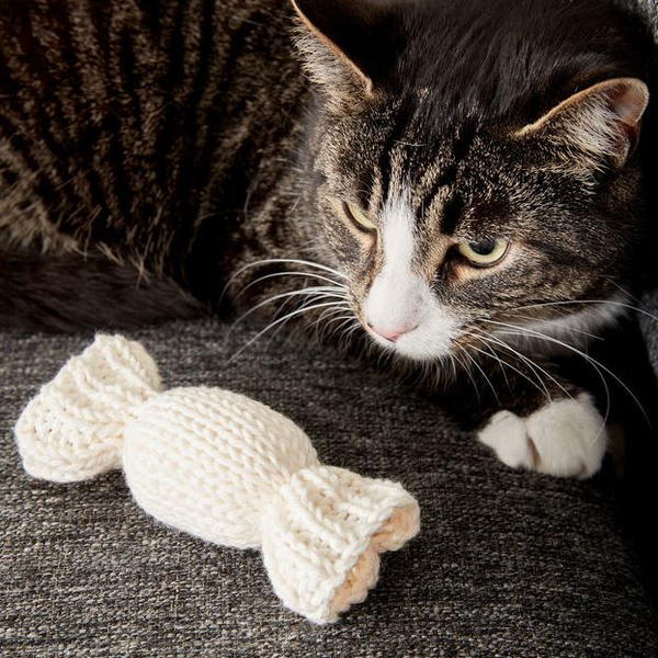 Candy DIY Catnip Toy Candy DIY Catnip Toy