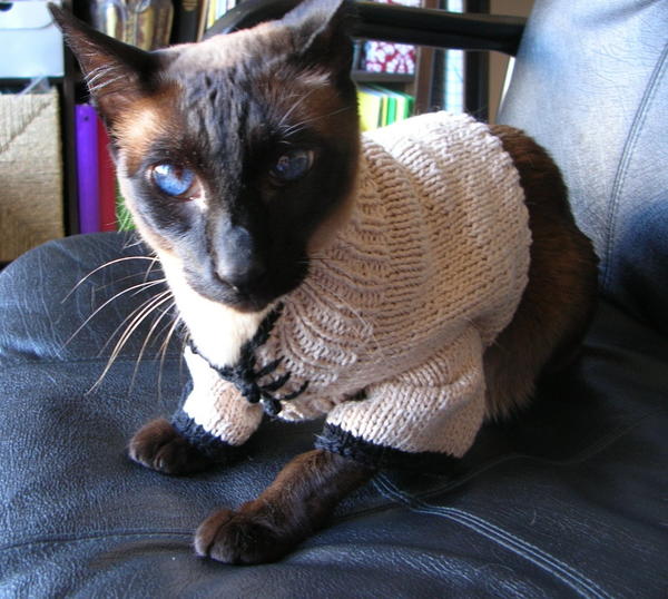 Lucky Cat Sweater Lucky Cat Sweater