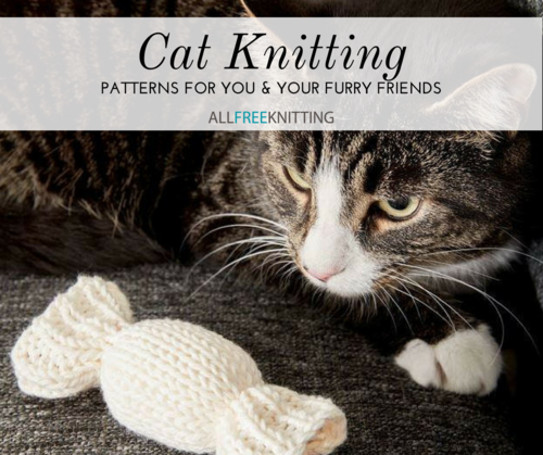 Cat Knitting Cat Knitting